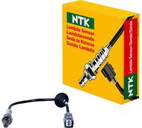 Sonde lambda NTK 1661