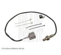 Sonde lambda Sonde de diagnostic ADM57056 BLUE PRINT pour MAZDA 5