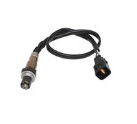 ASHIKA 43-Y14 Sonde lambda