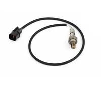 ASHIKA 43-Y17 Sonde lambda