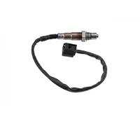 NTY ESL-BM-029 Sonde lambda