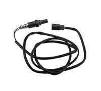 NTY ESL-PL-020 Sonde lambda