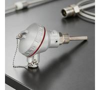 Sonde PT100 avec interface filetée M20 x 1,5 et tube en acier inoxydable de 8 mm de diamètre pour une performance constante (50 mm)