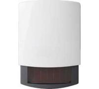 Sonde Saunier Duval extérieure