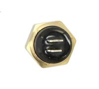 Sonde, température du liquide de refroidissement FAE 34160 pour 6 (E24) 3 1976-