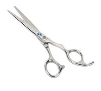 Sonew Ciseaux de Salon de Coiffure Professionnel, Ciseaux de Coiffure de Coiffeur En Acier Inoxydable Pour Salon de Coiffure et Usage Domestique