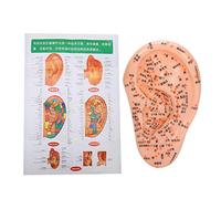 Sonew Modèle d'acupuncture d'oreille humaine, oreille d'acupuncture médicale professionnelle avec des points d'acupuncture modèle de Massage d'oreille pour l'usage domestique