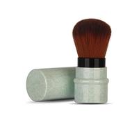 Sonew Pinceaux De Maquillage À Tête De Champignon, Petits Pinceaux De Maquillage Rétractables, Pinceaux De Maquillage Professionnels Pour Blush, Poudre, Fond De Teint Et Correcteur De Beauté