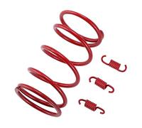 Sonew Ressort de Couple de Course, Ressort D'embrayage Haute Performance | Conception robuste, adhérence maximale, puissance en montée, compatible avec les moteurs GY6