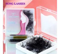 SONG LASHES Extensions de cils 3D à 16D, Fans pointus, fins, à tige étroite, Volume pré-fait, Base fine et pointue, Volume russe Ventilateurs 10D0.07-480-600