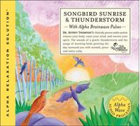 Songbird Sunrise & Thunderstorm by Jeffrey Thompson (2007-02-06)