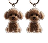 Songelt Lot de 2/3/4/5/10 porte-clés commémoratifs pour animaux de compagnie avec collecteur de fourrures transparentes pour chats en deuil, propriétaires de chiens, souvenirs, breloques pour animaux