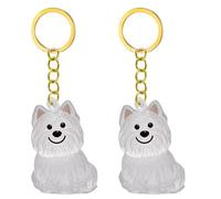 Songelt Lot de 2/3/4/5/10 porte-clés commémoratifs pour animaux de compagnie avec collecteur de fourrures transparentes pour chats en deuil, propriétaires de chiens, souvenirs, breloques pour animaux