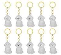 Songelt Lot de 2/3/4/5/10 porte-clés commémoratifs pour animaux de compagnie avec collecteur de fourrures transparentes pour chats en deuil, propriétaires de chiens, souvenirs, breloques pour animaux