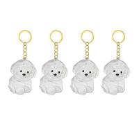 Songelt Lot de 2/3/4/5/10 porte-clés commémoratifs pour animaux de compagnie avec collecteur de fourrures transparentes pour chats en deuil, propriétaires de chiens, souvenirs, breloques pour animaux
