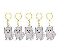 Songelt Lot de 2/3/4/5/10 porte-clés commémoratifs pour animaux de compagnie avec collecteur de fourrures transparentes pour chats en deuil, propriétaires de chiens, souvenirs, breloques pour animaux
