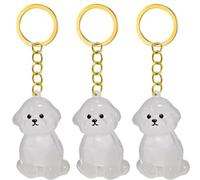 Songelt Lot de 2/3/4/5/10 porte-clés commémoratifs pour animaux de compagnie avec collecteur de fourrures transparentes pour chats en deuil, propriétaires de chiens, souvenirs, breloques pour animaux