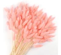 Songjum 120 Pièces Fleurs SéChéEs Queues De Lapin Herbe De Queue De Lapin Pour Fleurs SéChéEs Herbe De Queue De Lapin Séchée pour Décoration De Maison Mariage (Couleur rose)
