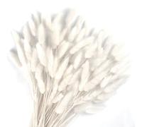 Songjum 120 Pièces Fleurs SéChéEs Queues De Lapin Herbe De Queue De Lapin pour Fleurs SéChéEs Herbe De Queue De Lapin Séchée pour Décoration De Maison Mariage (Blanc)