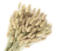 Songjum 120 Pièces Fleurs SéChéEs Queues De Lapin Herbe De Queue De Lapin pour Fleurs SéChéEs Herbe De Queue De Lapin Séchée pour Décoration De Maison Mariage (Couleur Naturelle)