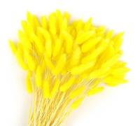 Songjum 120 Pièces Fleurs SéChéEs Queues De Lapin Herbe De Queue De Lapin pour Fleurs SéChéEs Herbe De Queue De Lapin Séchée pour Décoration De Maison Mariage (Jaune)