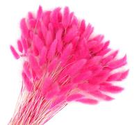 Songjum 120 Pièces Fleurs SéChéEs Queues De Lapin Herbe De Queue De Lapin pour Fleurs SéChéEs Herbe De Queue De Lapin Séchée pour Décoration De Maison Mariage (Rose Rouge)