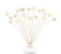Songjum 20 Pièces Billy Balls Fleurs Séchées Jaune Billy Button Balles Plante Fleurs Séchées Vraies Fleurs pour Décoration Mariage Maison Table Vase Arrangement De Fleurs Florale (Blanc)