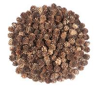 Songjum 240 Pièces Noël Pomme de Pin Mini Pommes de Pin Naturelles Petite Pomme de Pin pour Maison Festive Bricolage Mariages Arbre De Noël Decoration Automne Hiver