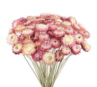 Songjum Lot de 50 bouquets de marguerites séchées naturelles chrysanthèmes multicolores séchées pour vase, décoration d'intérieur, fête, arrangement à faire soi-même, paille de blé pour décoration de