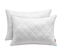 SONGMICS HOME Oreillers, Lot de 2, Double Face, 50 x 70 cm, Housse Douce et Rafraîchissante, Garnissage 650 g, Hiver Été, Coussin, Lavage et Séchage en Machine à Moins 60 °C, Blanc Nuage TBP024W01