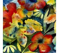 Songs And Instrumentals CD