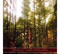 Songs For The Broken Hearted