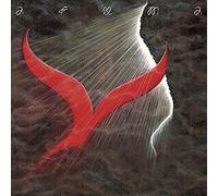 Songs from the Shore