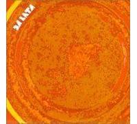 Da Lata – Songs from the Tin