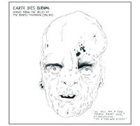 Earth Dies Burning Songs from the Valley of the Bored Teenager (1981-84) (CD)