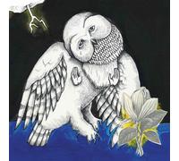 Songs : Ohia - The Magnolia Electric Co