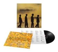 Echo & the Bunnymen – Songs to Learn and Sing : The Best of – Vinyle