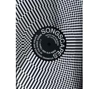 Songscapes: Stunning Graphics and Visuals in Music