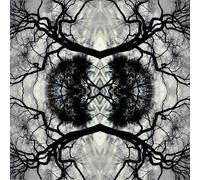 Adam Rudolph - Sonic Mandala Go: Organic Orchestra