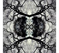 Sonic Mandala Go: Organic Orchestra