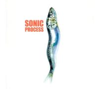 Sonic Process - Une Nouvelle géographie des sons