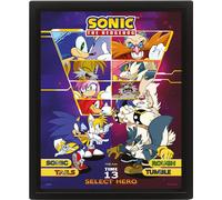 Sonic The Hedgehog - Gerahmtes Poster "Select Your Fighter", Lentikular PM6775 (25,5 cm x 20,5 cm) (Bunt)