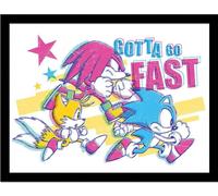 Sonic The Hedgehog - Poster encadré "Gotta Go Fast" PM8862 (40 cm x 30 cm) (Coloured)