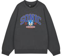 Sonic The Hedgehog - Sweat-shirt pour homme "World's Fastest" NS8898 (L) (Gris)