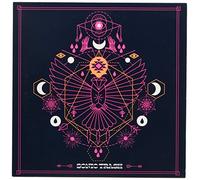 Sonic Trash - Totem [Import]