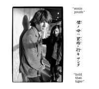 Sonic Youth Hold That Tiger (Vinyl) 12" Album