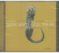 Sonic Youth + Icp + the Ex - in The Fishtank