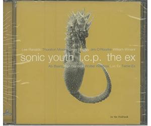 Sonic Youth + Icp + the Ex - in The Fishtank