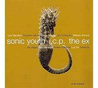 Sonic Youth - In the Fishtank