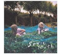 SONIC YOUTH - MURRAY STREET CD 7 TRACKS ALTERNATIVE ROCK NEUF